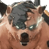 T_IconMonsterHead_32032_UI_resized.webp