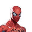 Spider-man_resized.webp