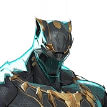 Black Panther_resized.webp