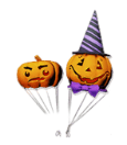 南瓜_resized.png