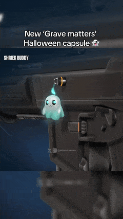 10月26日(2)_compressed.gif