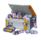Sage's EXP Support